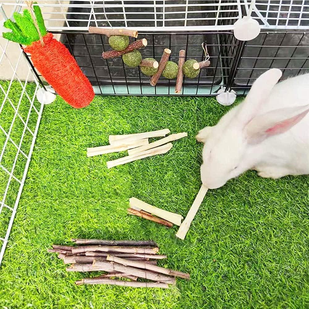 16 Juguetes para Hámster y Conejos Dbeans - Salud Dental