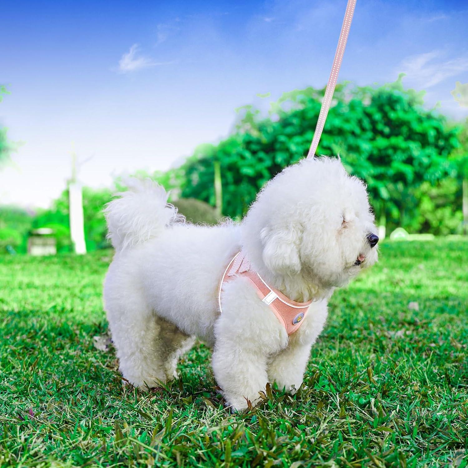 Conjunto Arnés y Correa para Perros Hipubby Rosa XXS