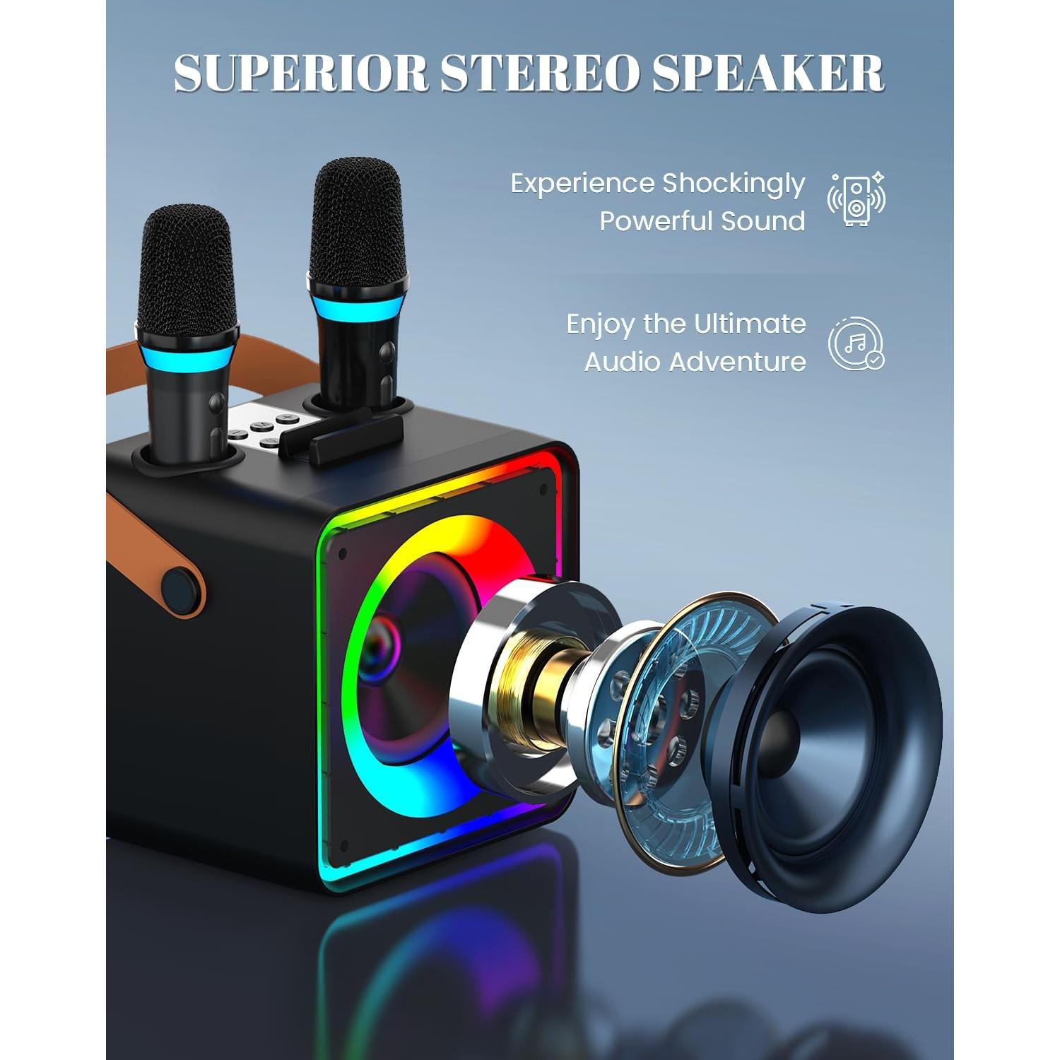 Máquina de Karaoke YLL con 2 Micrófonos Inalámbricos y Bluetooth