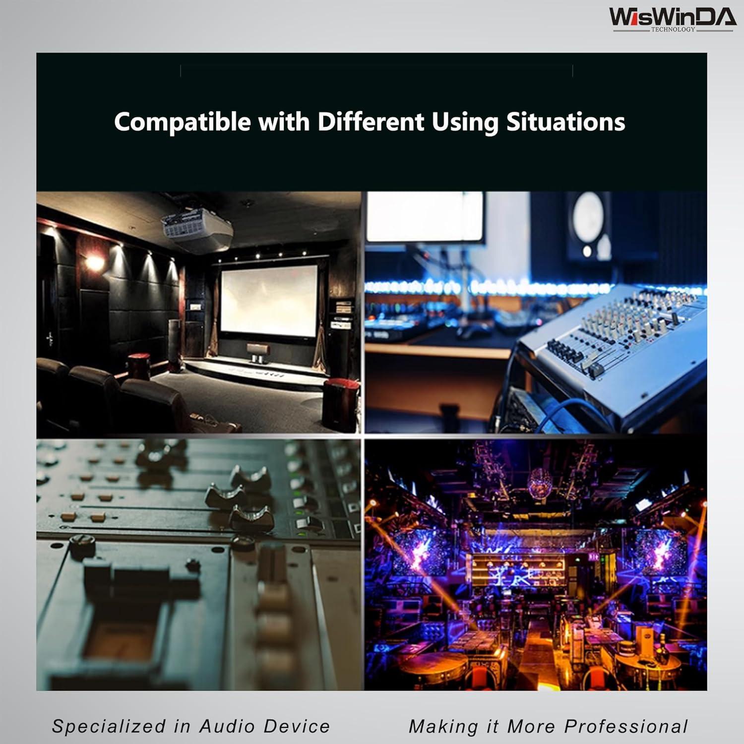 Convertidor de Aislamiento de Audio WisWinDa WD-NF-201