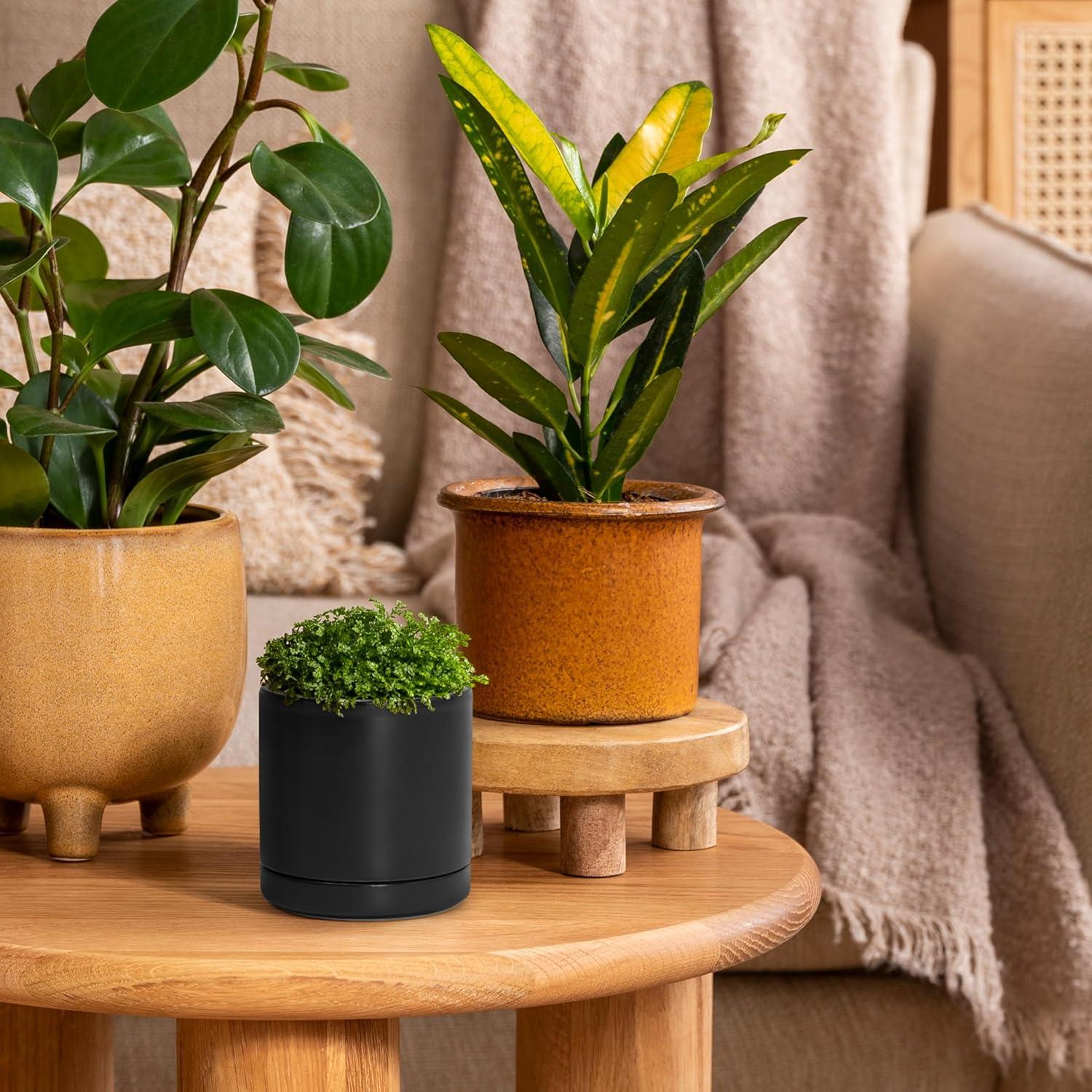 Juego de 2 macetas D'vine Dev cerámica 7.6 cm negro con drenaje