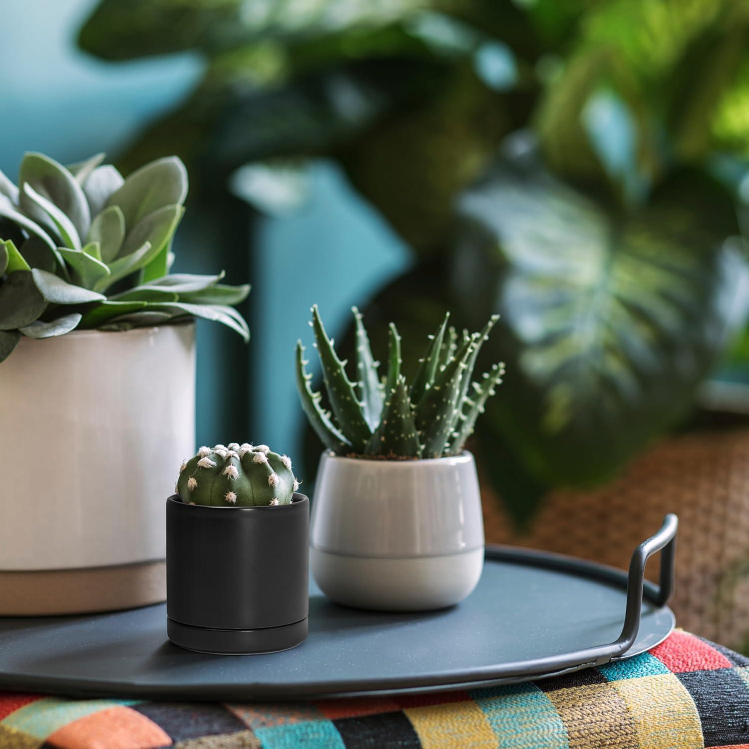 Juego de 2 macetas D'vine Dev cerámica 7.6 cm negro con drenaje