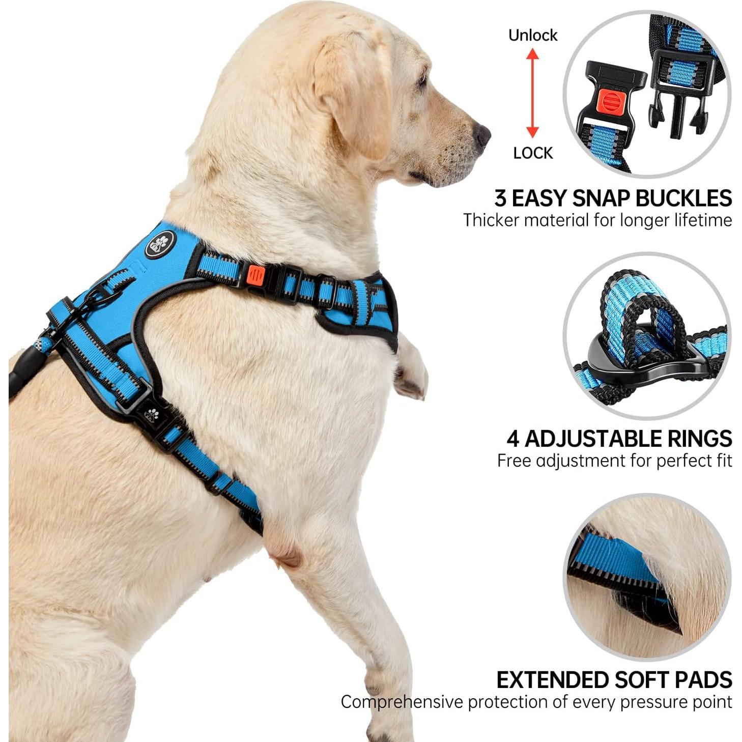 Arnés para Perros NESTROAD X-Small Ajustable Azul Reflectante