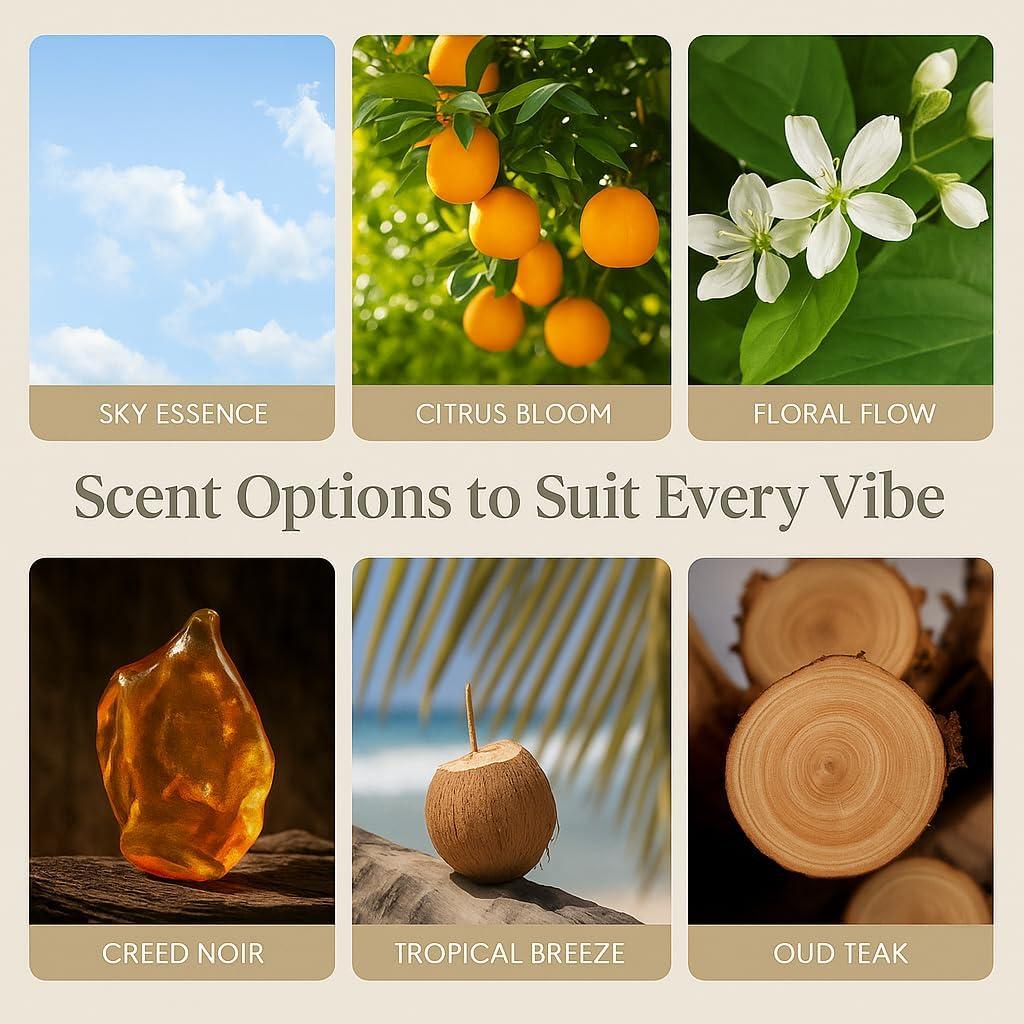 Kit de Fragancia para Automóvil Aeris - Clip + Piedra Recargable