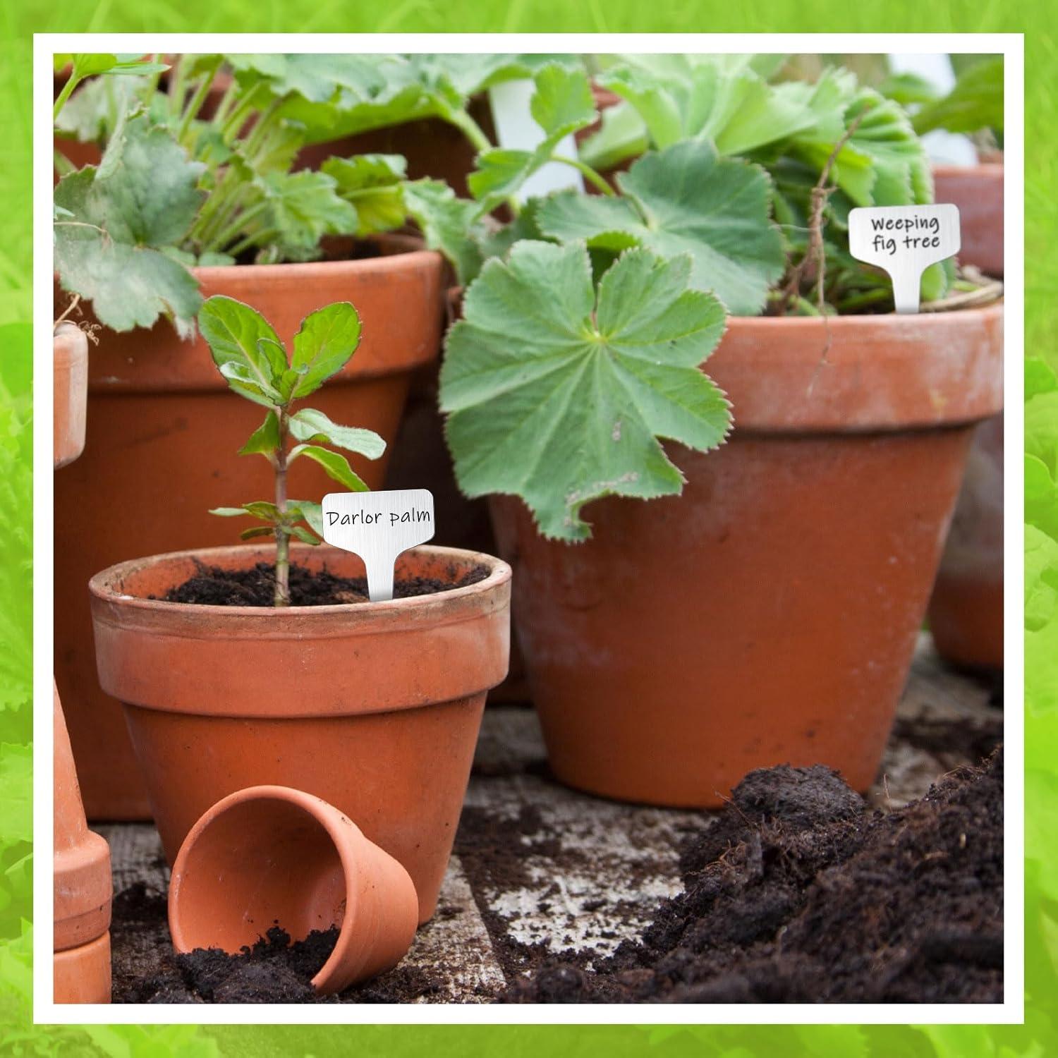 Etiquetas de Metal Hicarer 24 Pcs para Jardín 10x6 cm