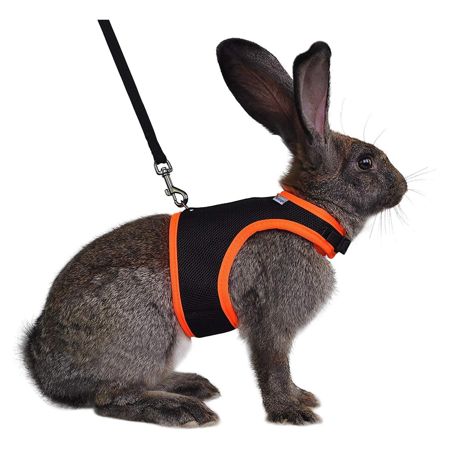 Arnés Suave Ajustable Niteangel para Conejos Mediano Negro