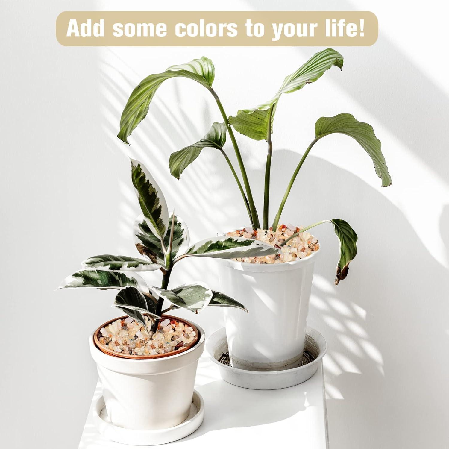 Halatool 0.47 kg Piedras de Cristal Pulidas Naturales 7-20 mm