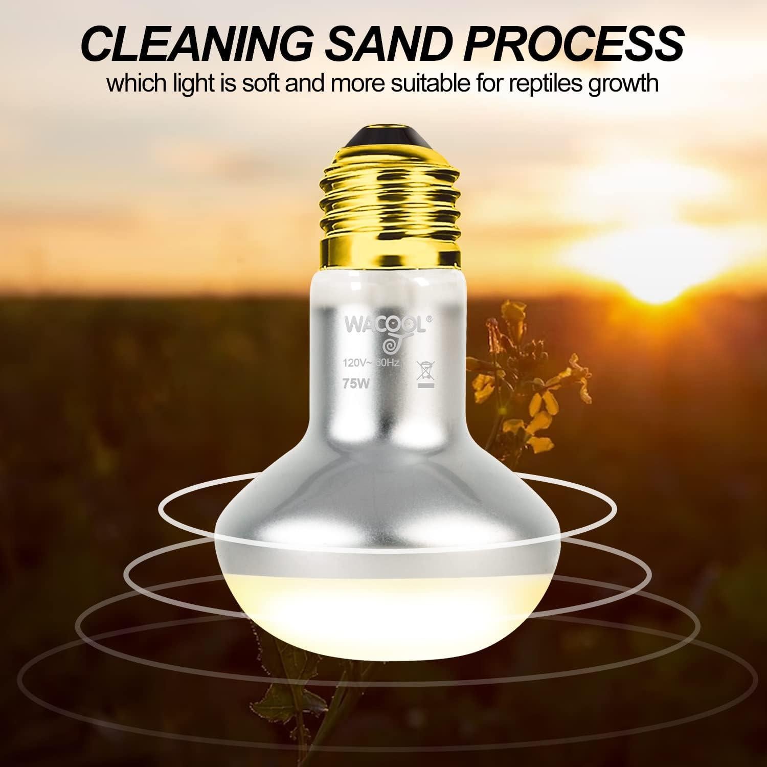 Bombillas de Calor para Reptiles WACOOL 75W 2 Paquete UVA