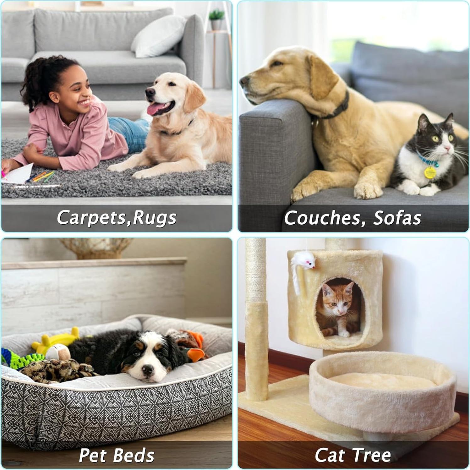 Rastrillo de Alfombra Eaersan 60" Ajustable para Pelo de Mascotas