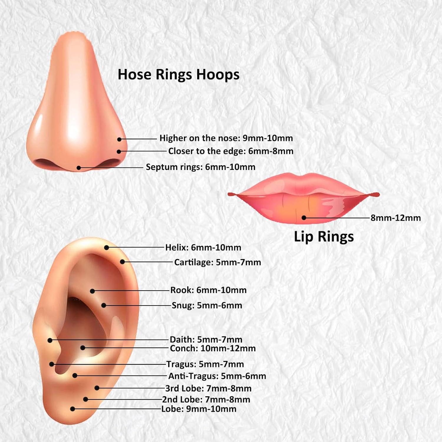 Aros Nasales 316L Acero Quirúrgico 12 Piezas 6-12mm