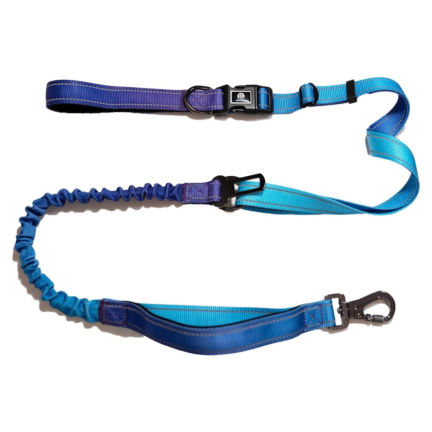 Correa para Perros Grandes Manos Libres Dingye Bob Azul