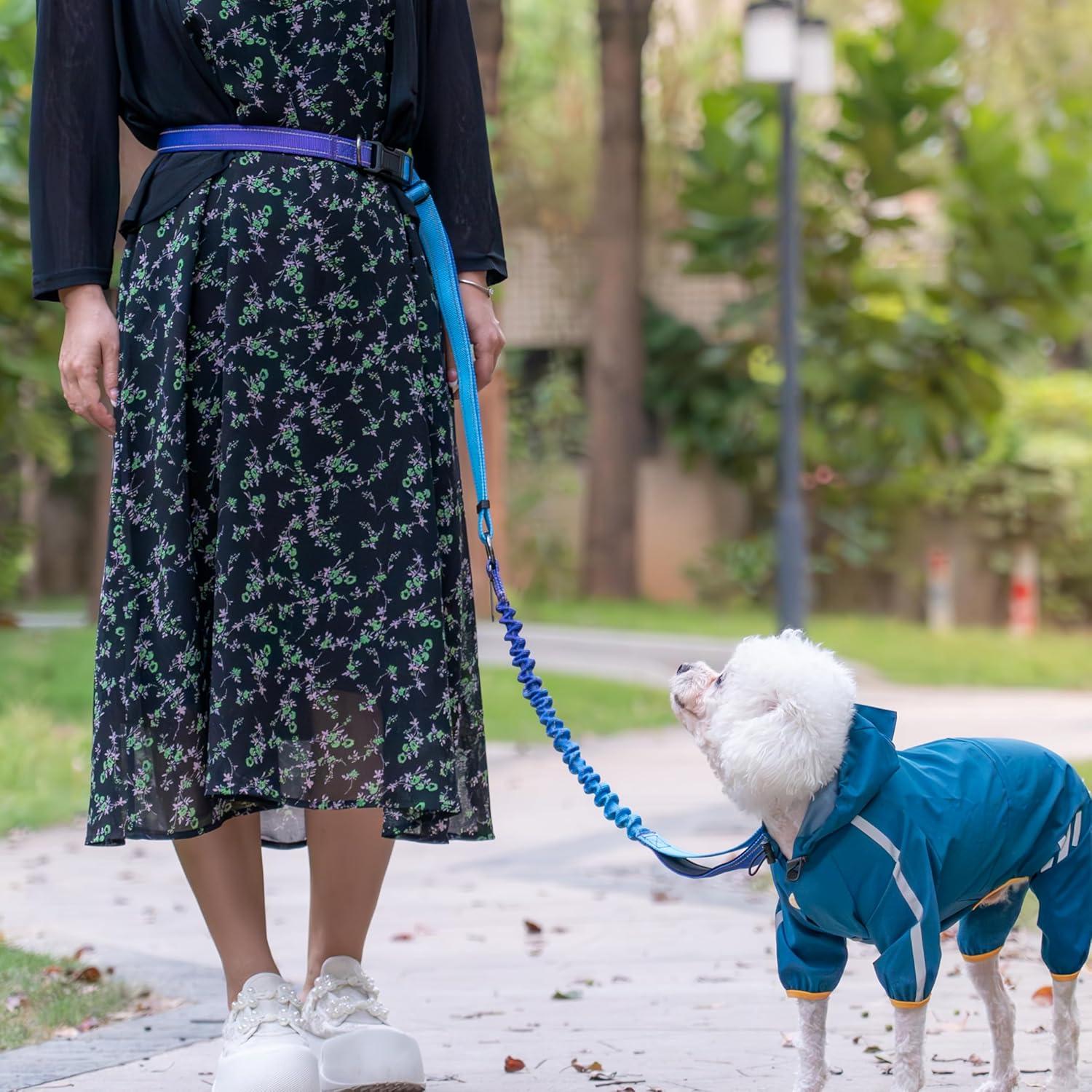 Correa para Perros Grandes Manos Libres Dingye Bob Azul