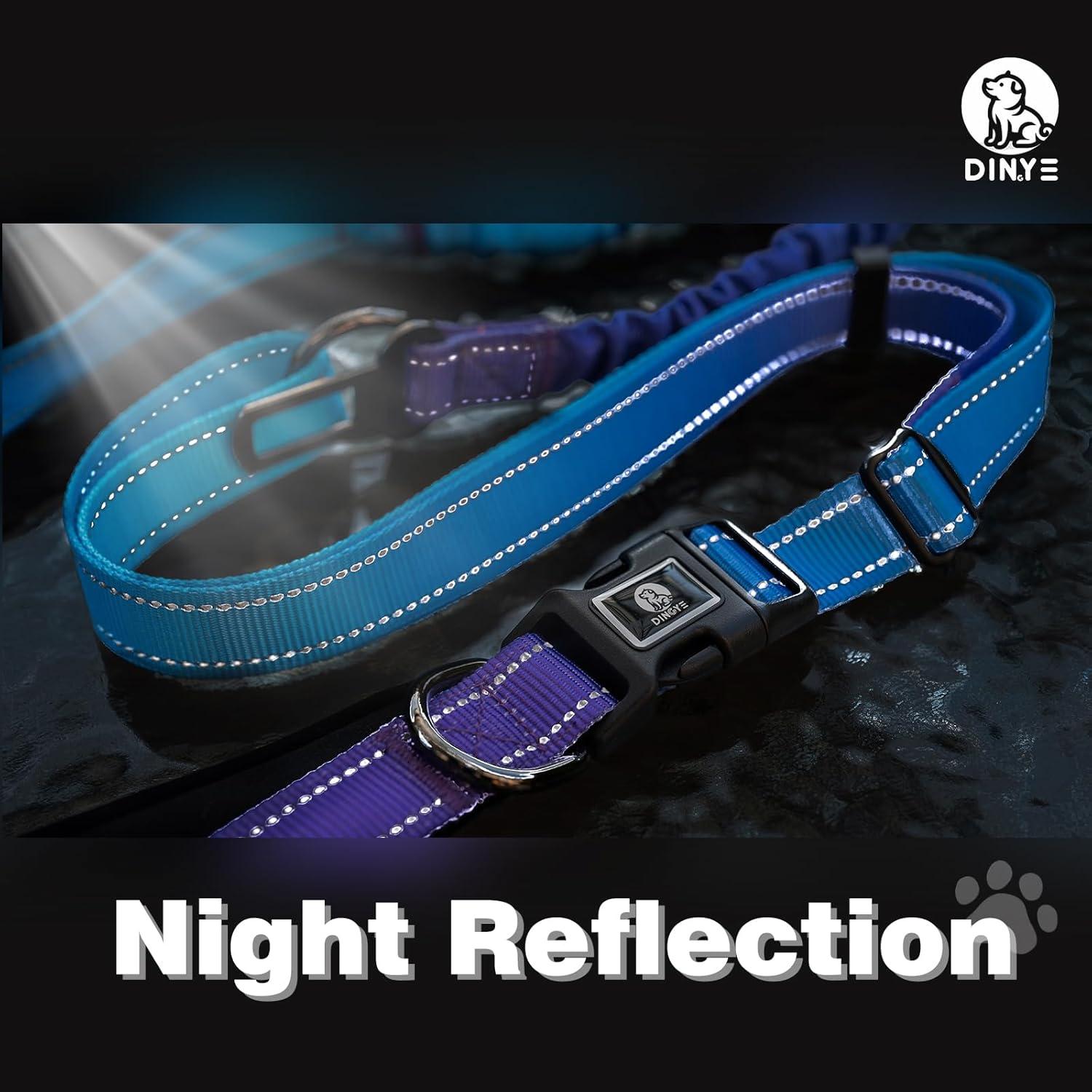 Correa para Perros Grandes Manos Libres Dingye Bob Azul