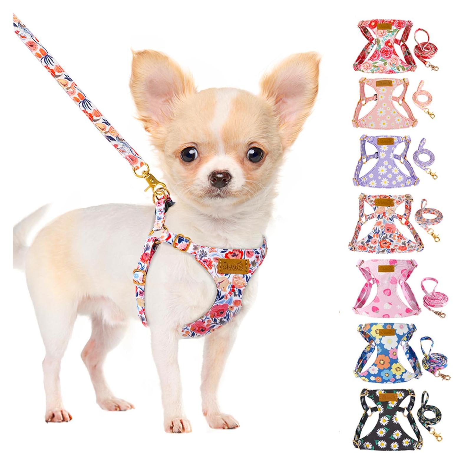 Conjunto Arnés y Correa Lukovee para Cachorros Pequeños XXS