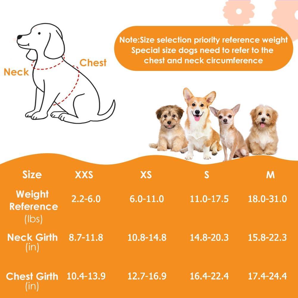 Conjunto Arnés y Correa Lukovee para Cachorros Pequeños XXS