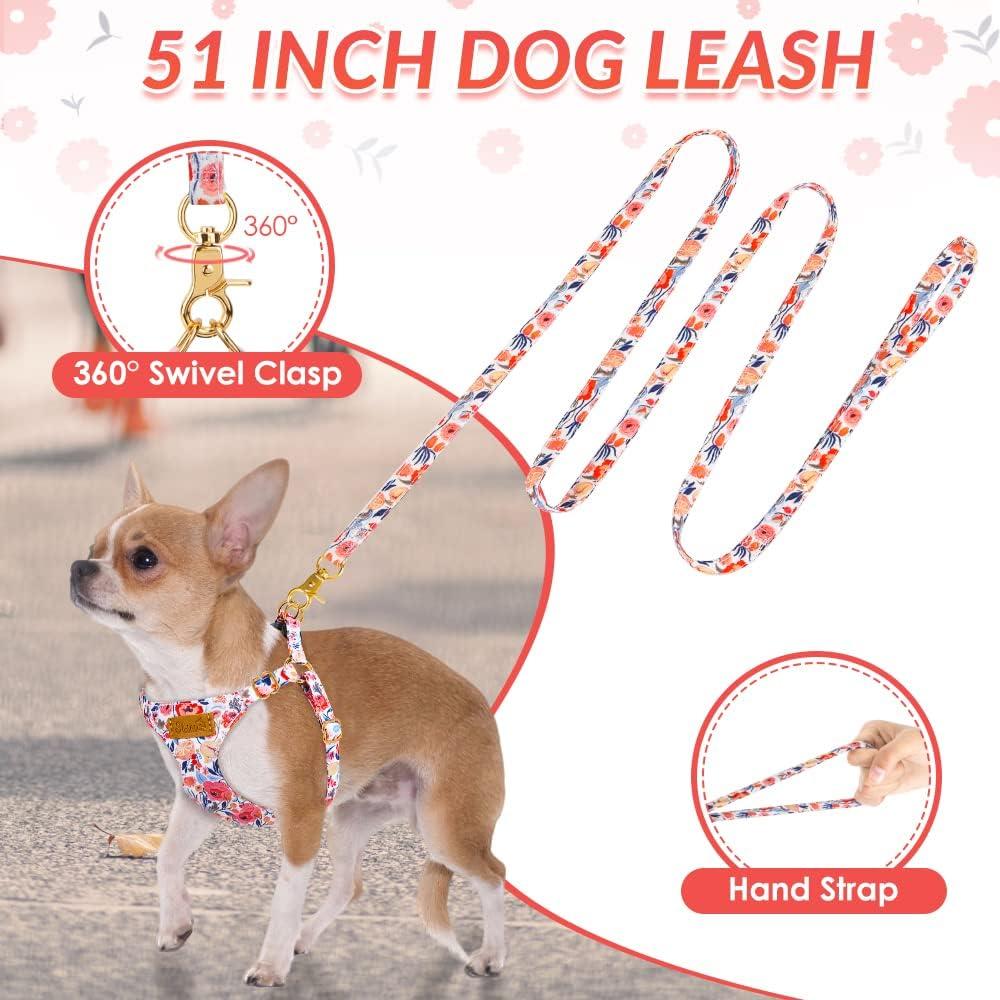 Conjunto Arnés y Correa Lukovee para Cachorros Pequeños XXS