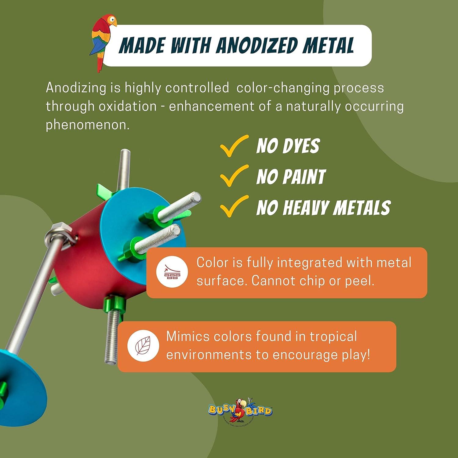 Juguete Interactivo para Aves Barrel Bird | Pacific Rim | 15.2x15.2cm
