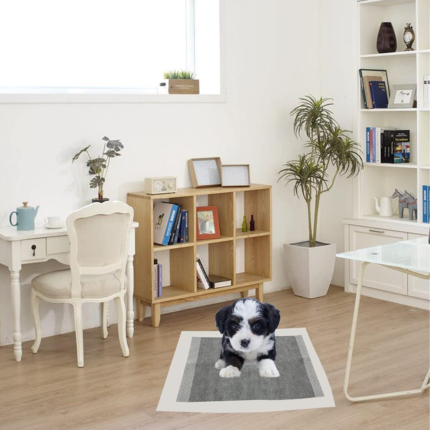 100 Almohadillas Desechables para Orina de Conejo MUYG 33x45 cm