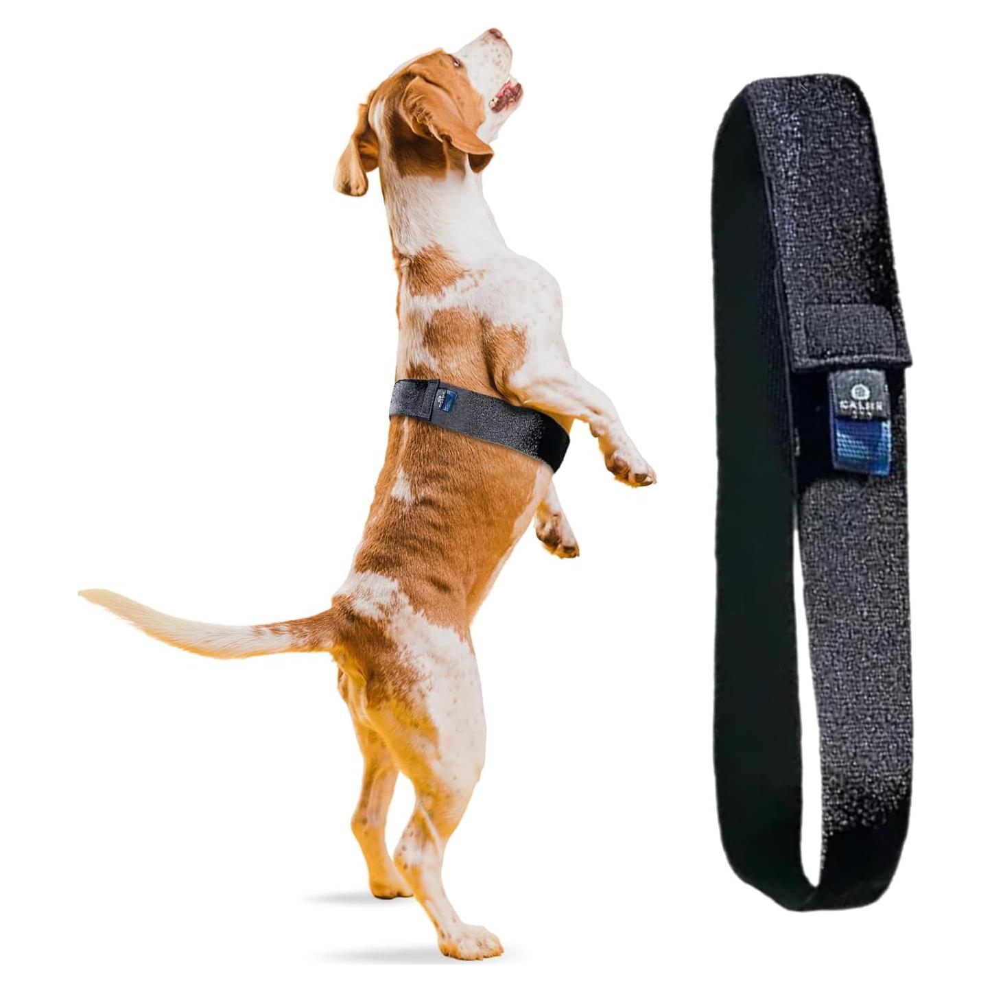 Correa Settle Calmr Dog - Banda de Compresión Suave 71 cm