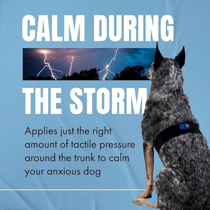 Correa Settle Calmr Dog - Banda de Compresión Suave 71 cm
