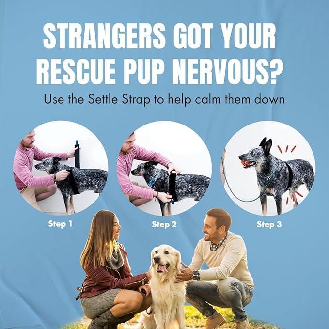 Correa Settle Calmr Dog - Banda de Compresión Suave 71 cm