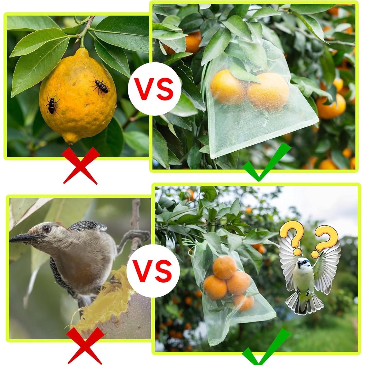 50 Bolsas de Protección para Frutas SmileLucky 15x20 cm Verde