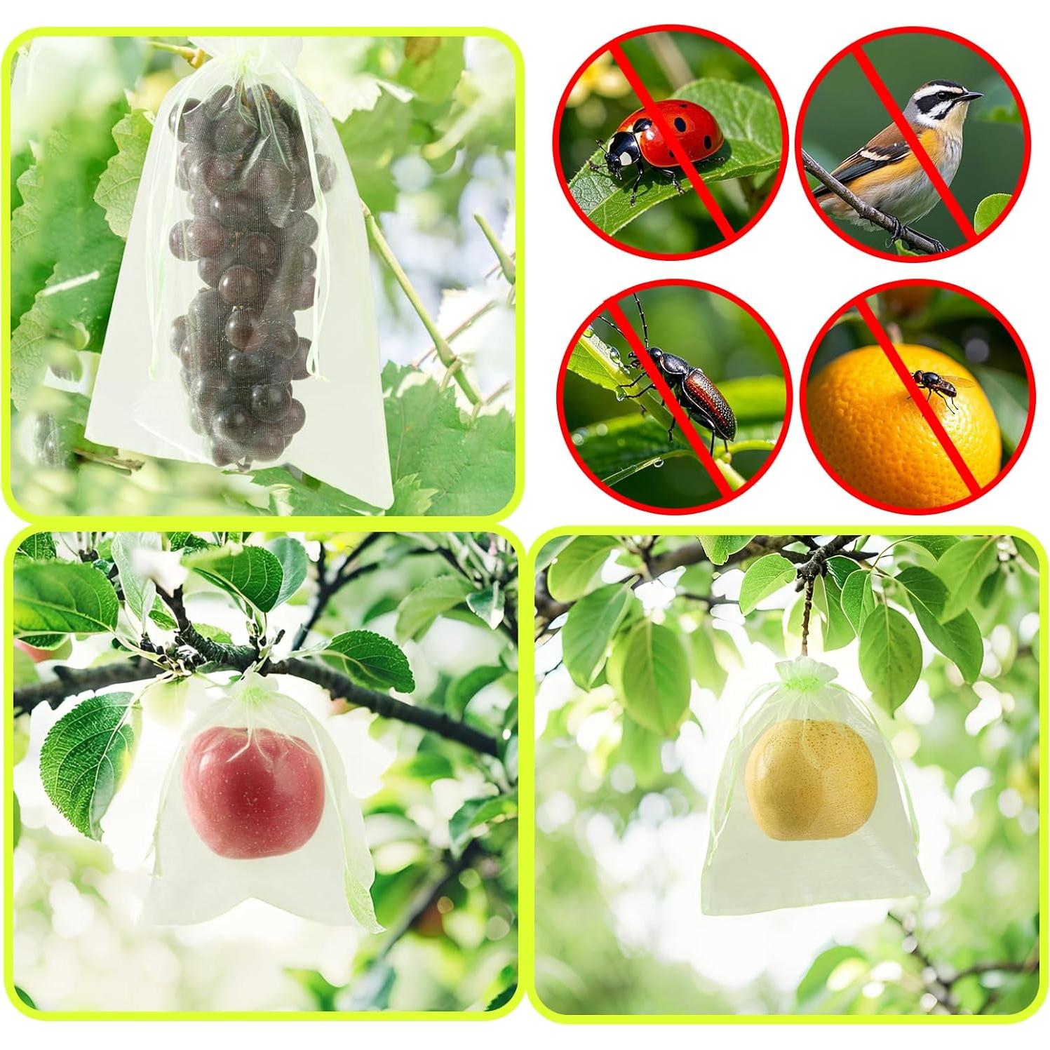 50 Bolsas de Protección para Frutas SmileLucky 15x20 cm Verde