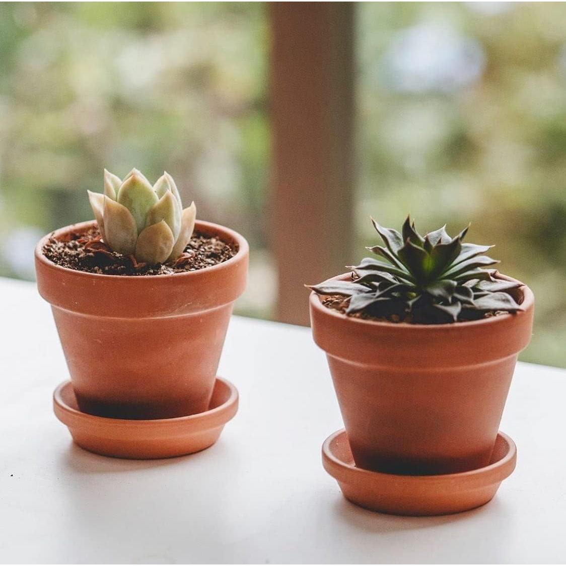 Macetas de terracota HERDUK 8.1 cm con plato - Paquete de 18