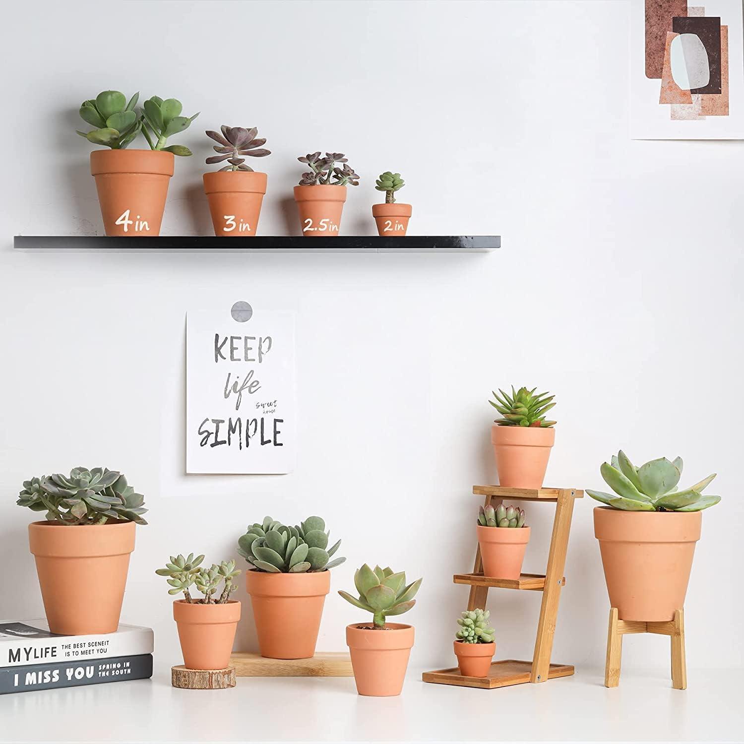 Macetas de terracota HERDUK 8.1 cm con plato - Paquete de 18