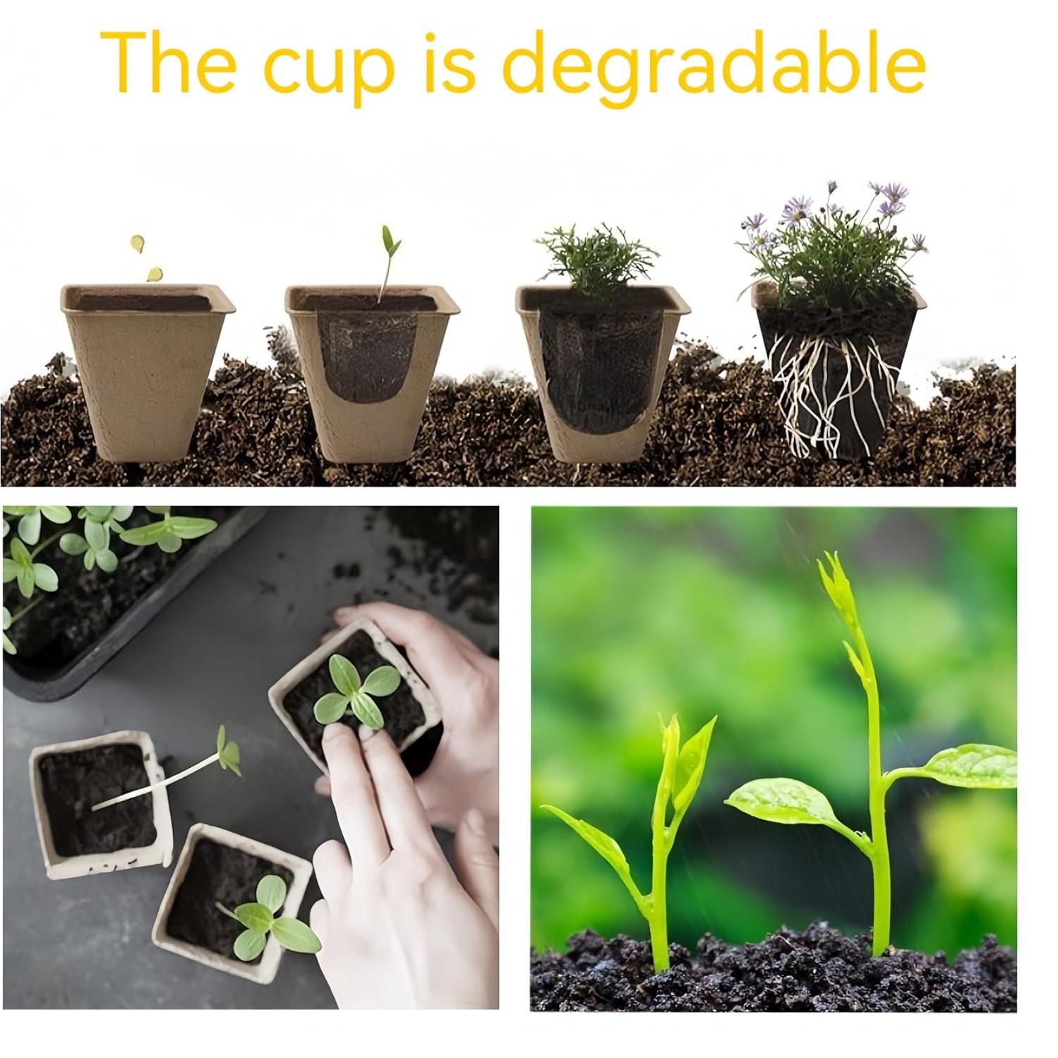 Bandeja de Inicio de Semillas 240 Celdas Sayehuanye Biodegradable