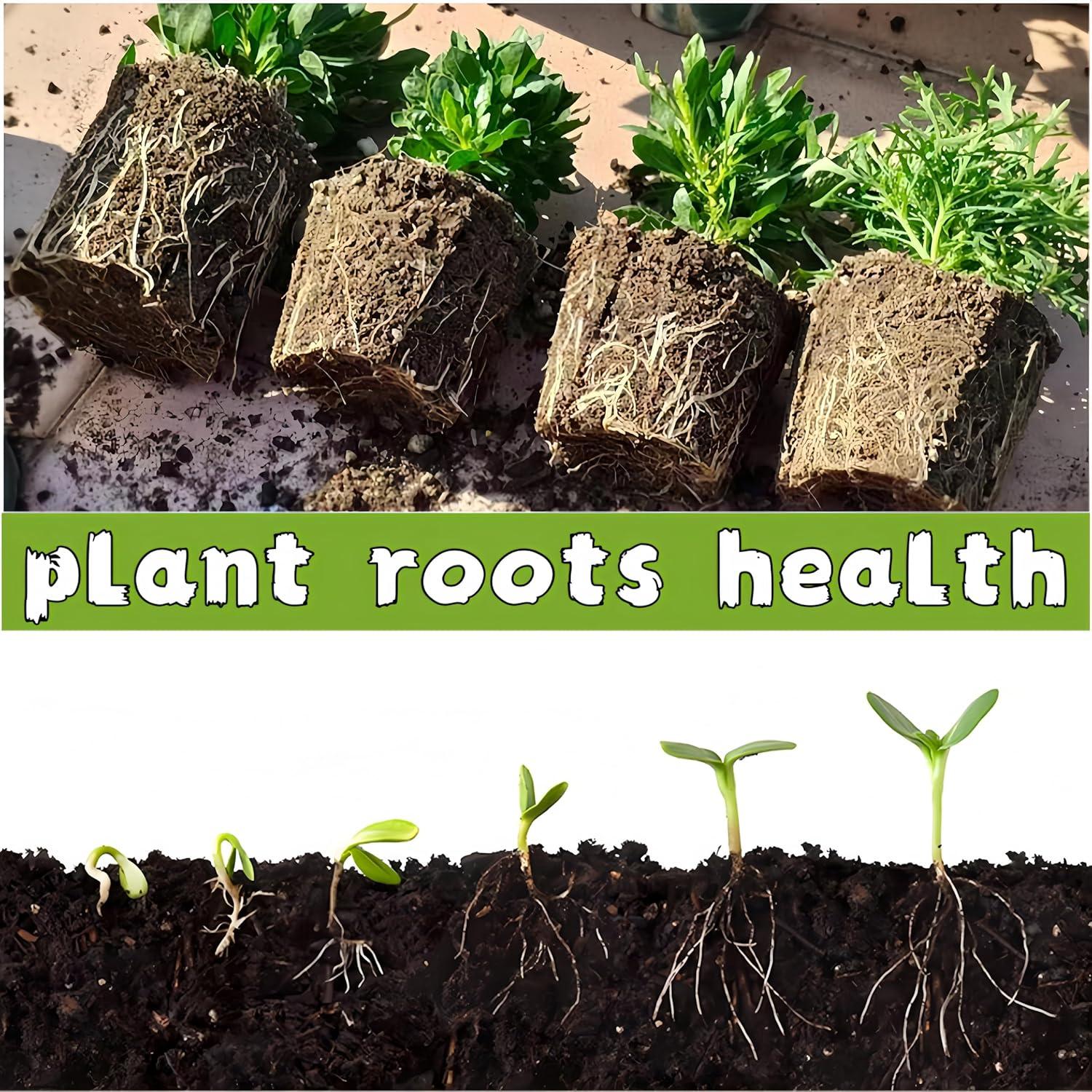 Bandeja de Inicio de Semillas 240 Celdas Sayehuanye Biodegradable