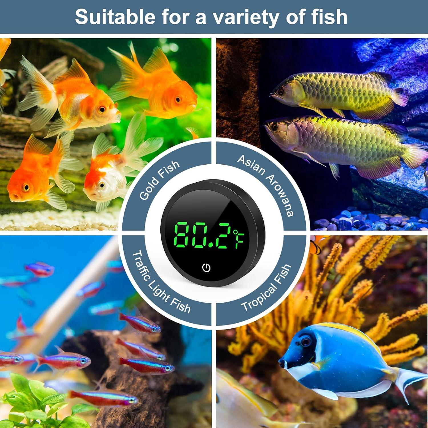 Termómetro Digital de Acuario Ankilo con Pantalla LED HD