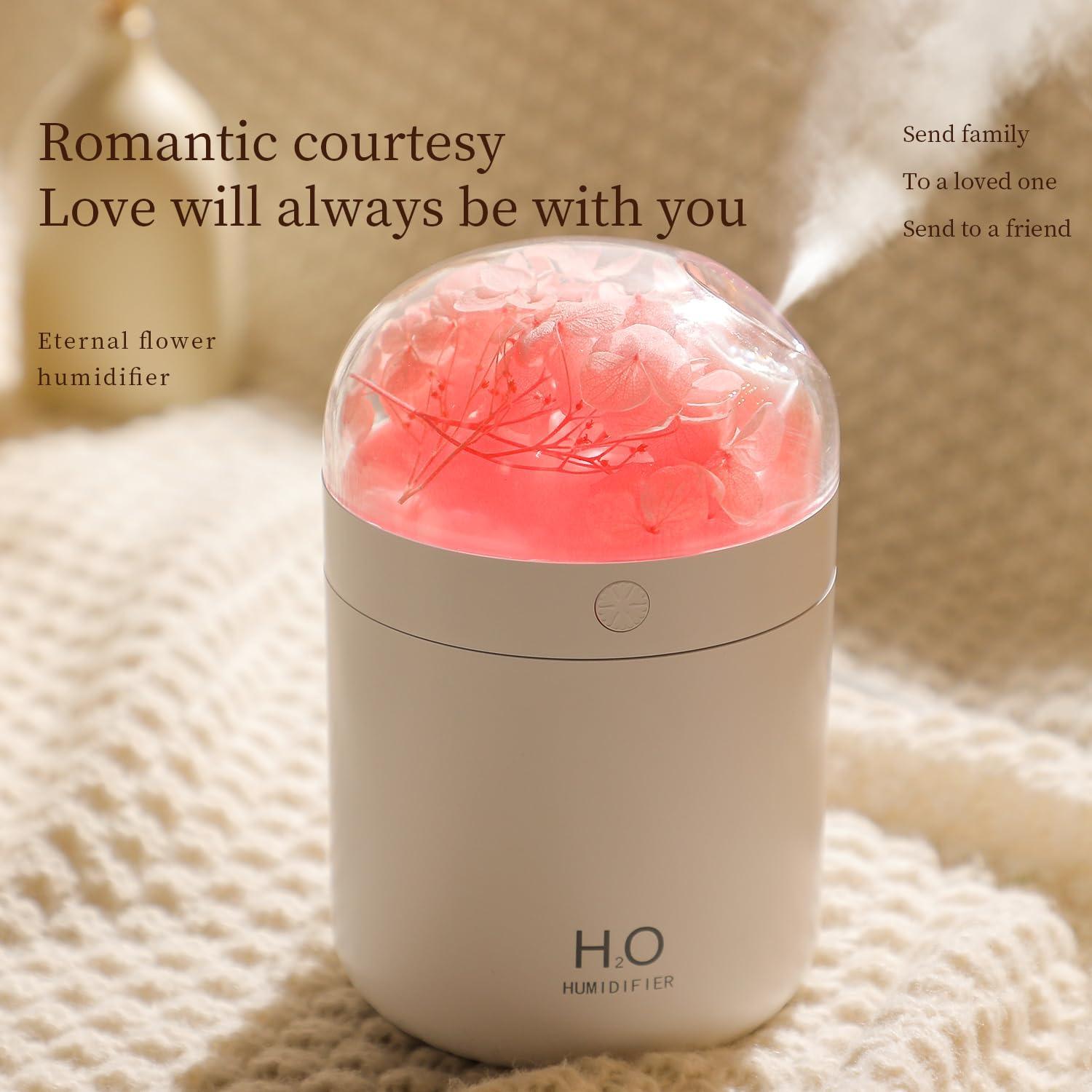 Humidificador Mini H2O Jialong Rosa con Luz LED y 3 Modos