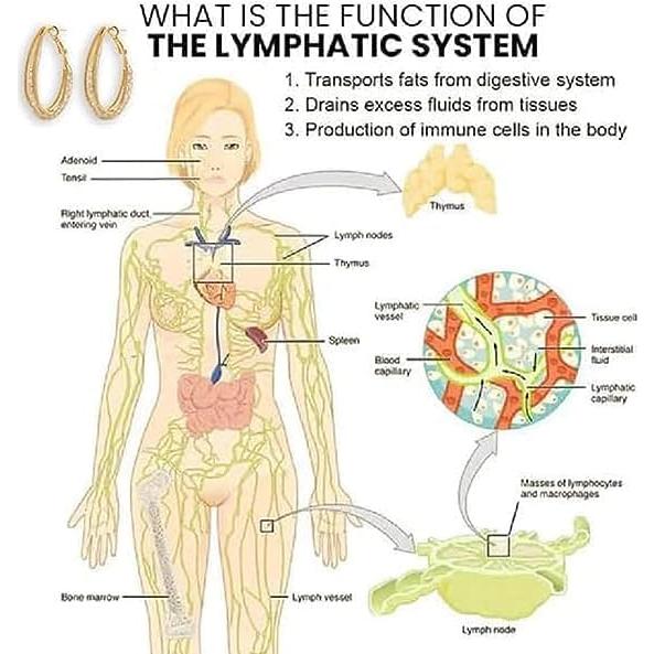 Pendientes Aros Hipoalergénicos Halolux Lymphvity Drenaje Linfático