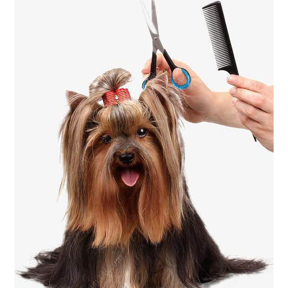 16 Anillos de Silicona para Dedos Tijeras DonLeeving - 8 Colores