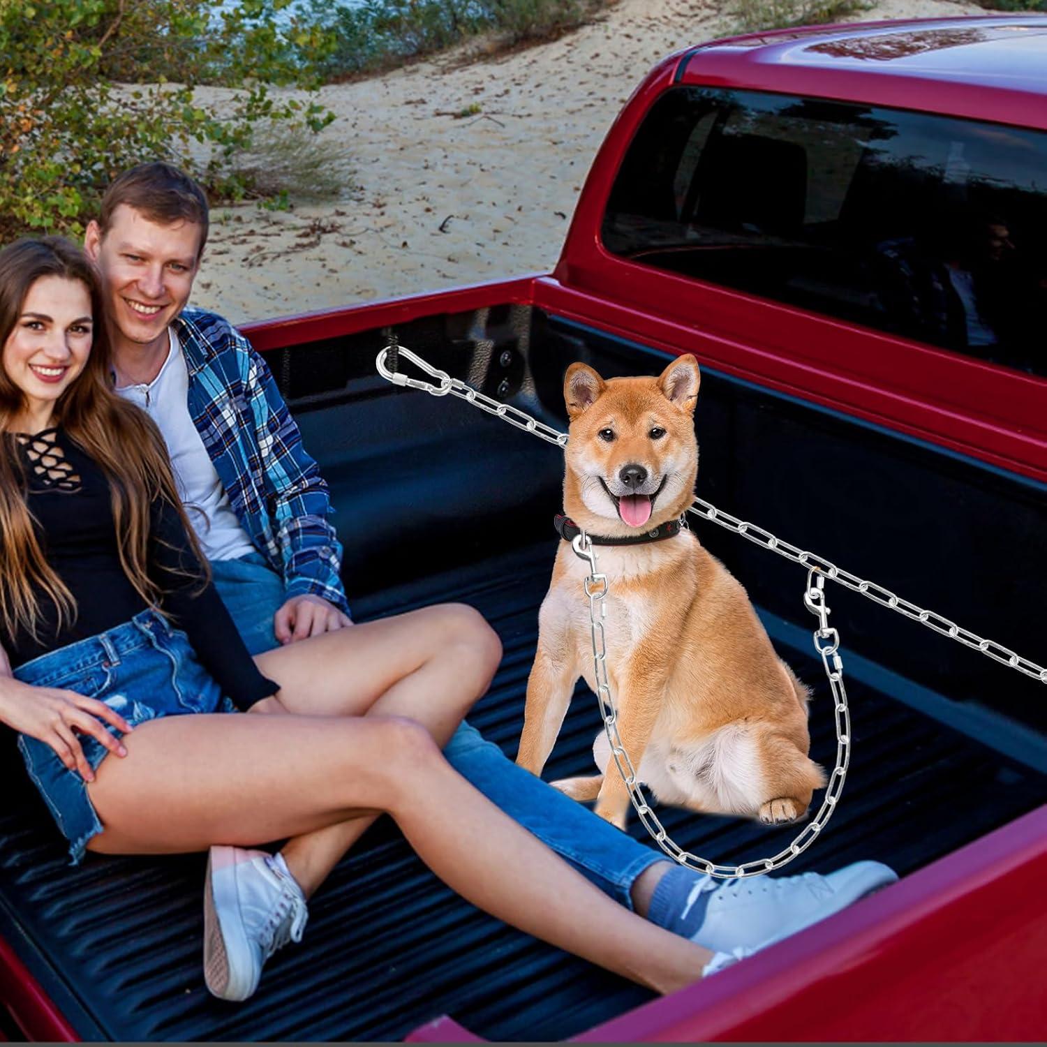 Cadena de Sujeción para Cama de Camión SKIPWALL Plata Ajustable