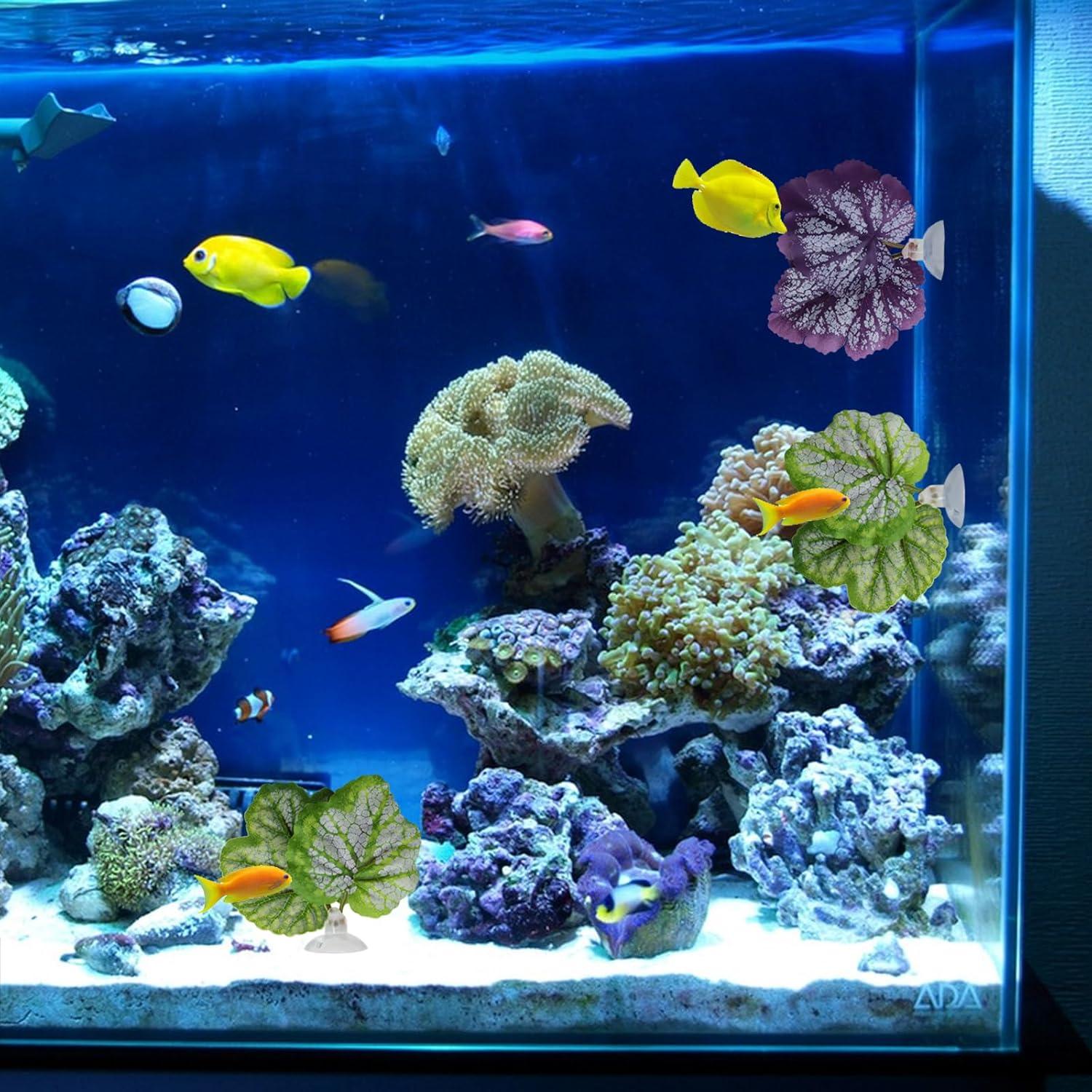 Hamaca de Hoja para Betta WishLotus - 2 Piezas Verde