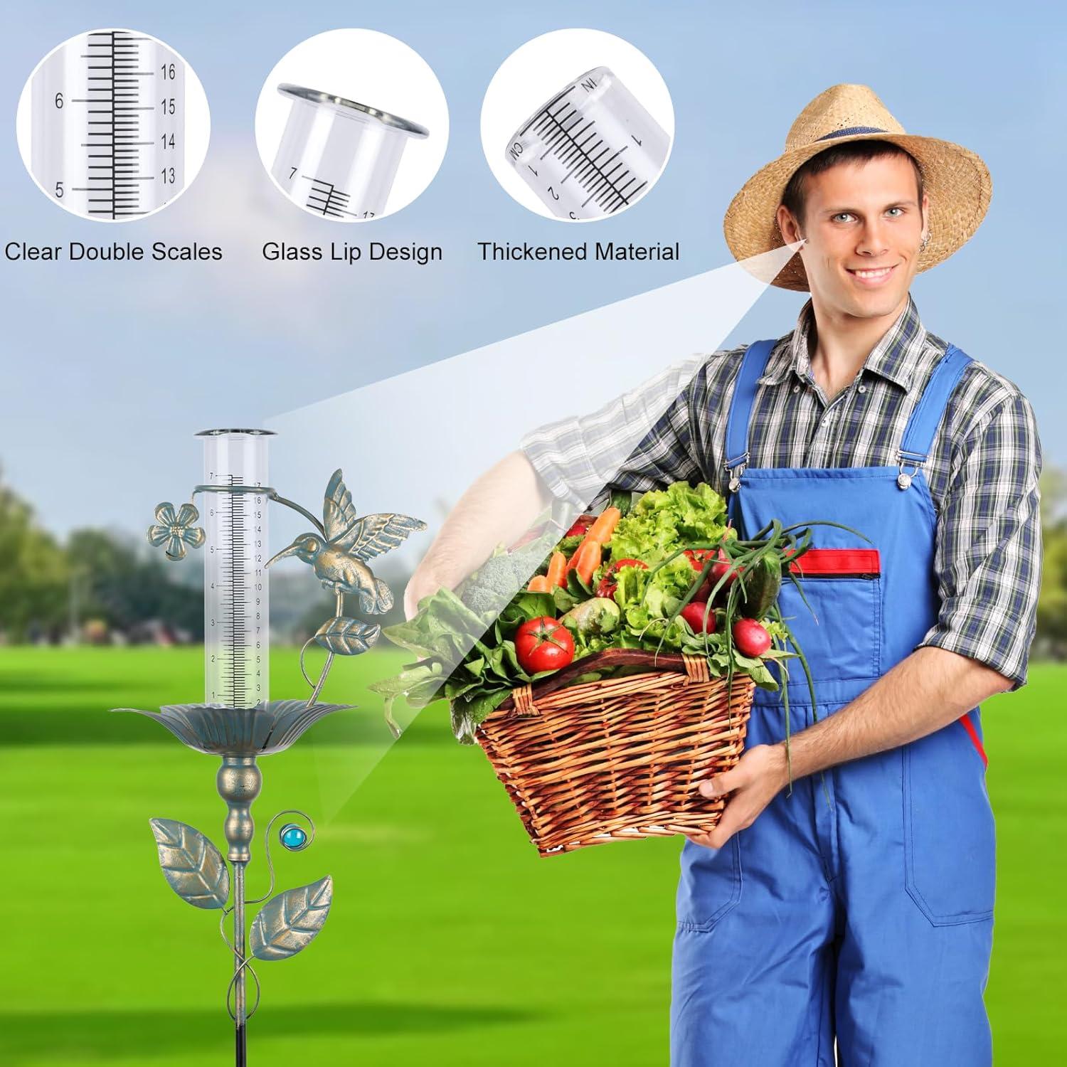 Pluviómetro Exterior Fastruggle Colibrí Vidrio 36.6 cm