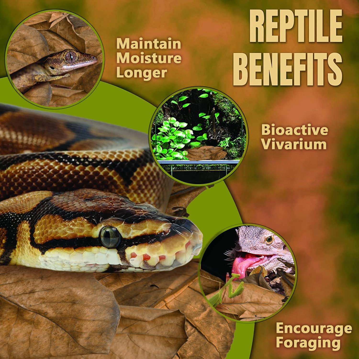 Hoja de Hojarasca SunGrow para Reptiles - 10 Piezas Medianas