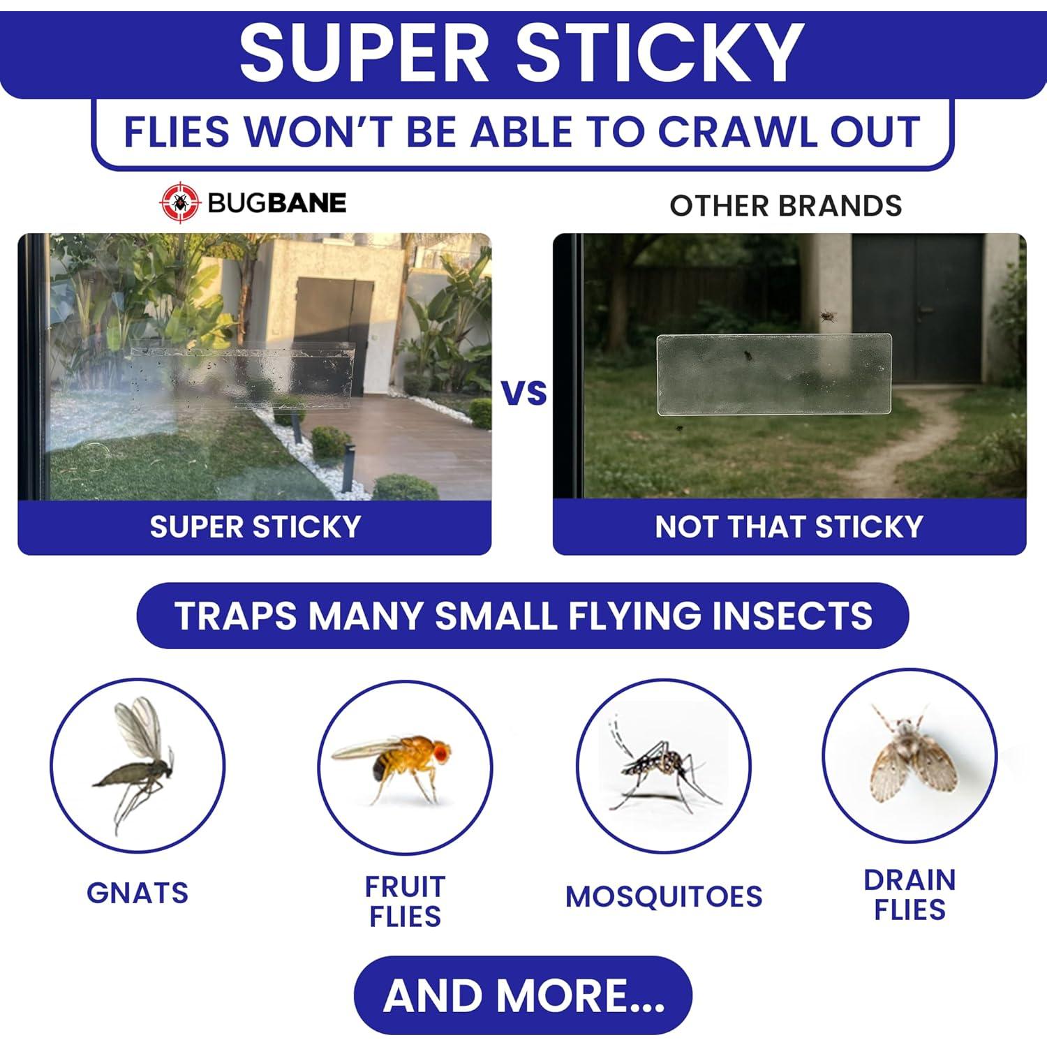 Trampas Pegajosas para Moscas BugBane 50 Unidades Transparentes