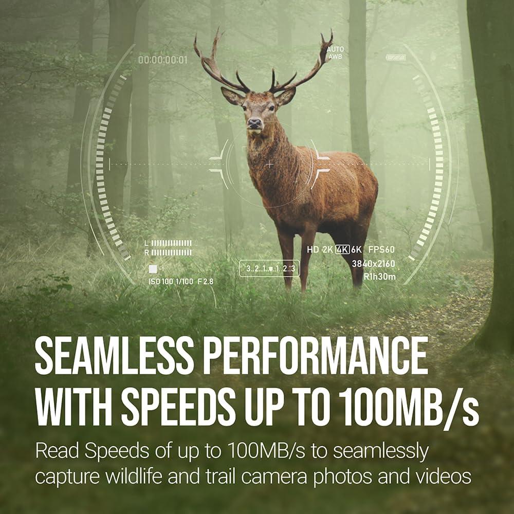 Tarjeta de Memoria PNY 32GB Elite Clase 10 U1 V10 3-Pack