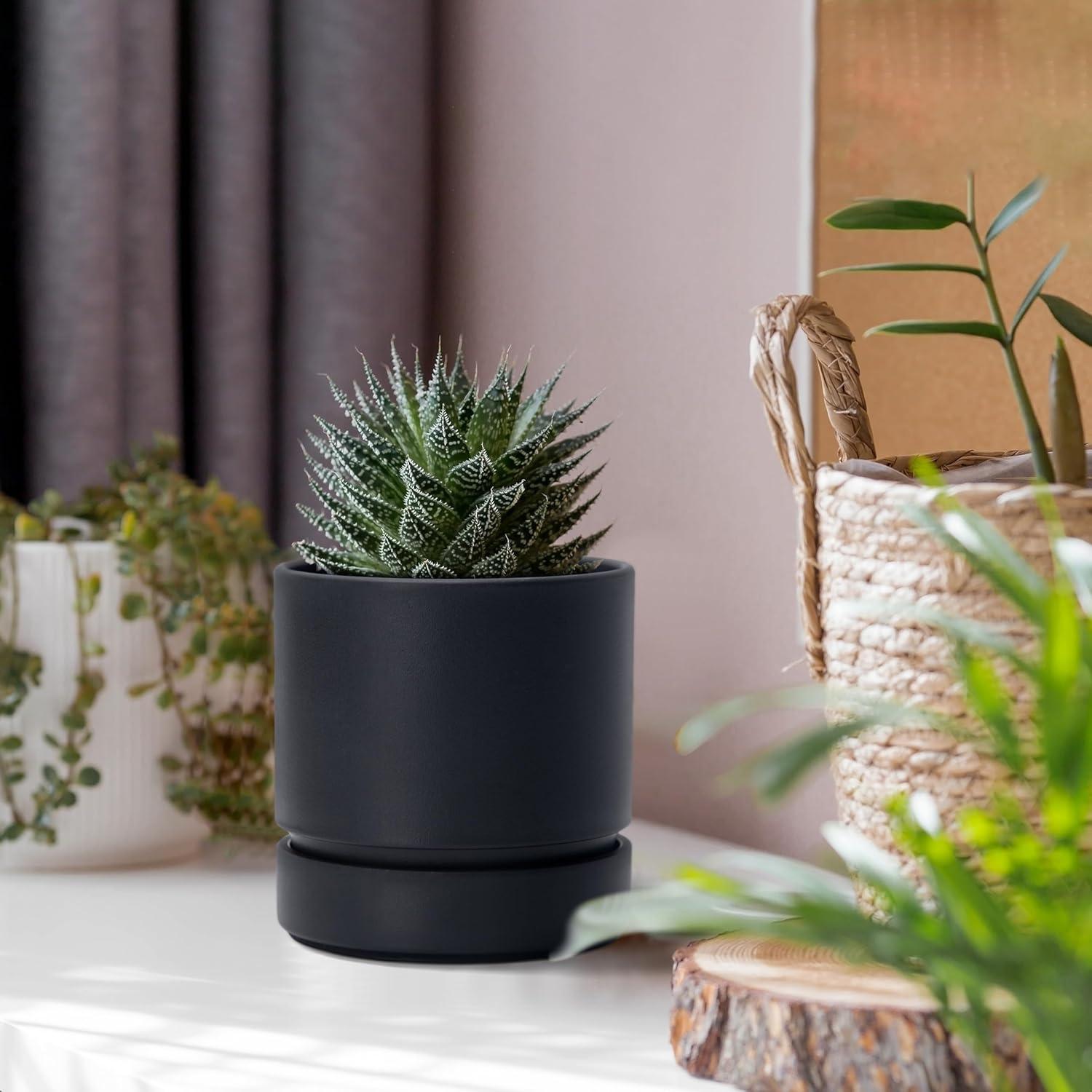 Maceta Phoenix Vine 10 cm con Plato y Drenaje Negro Mate