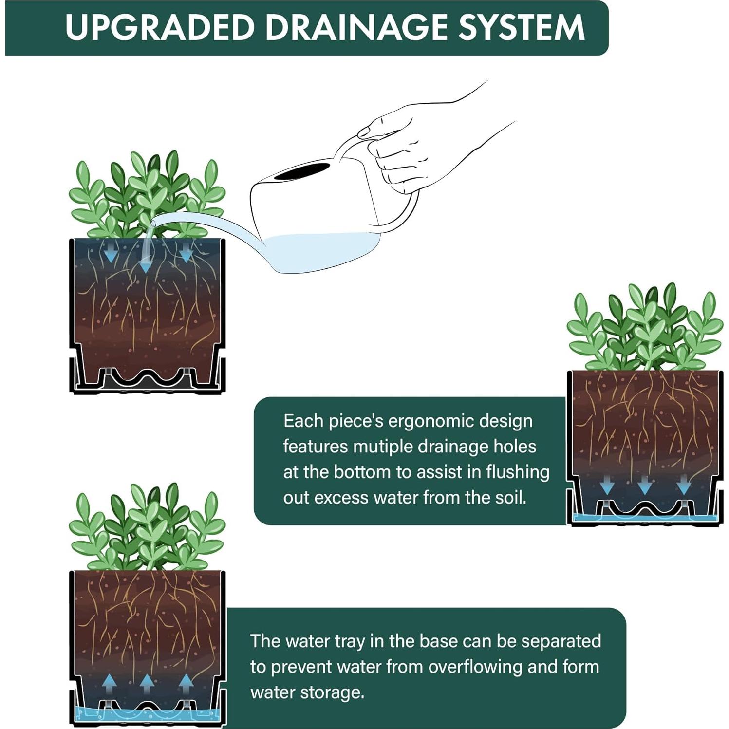 Maceta Phoenix Vine 10 cm con Plato y Drenaje Negro Mate