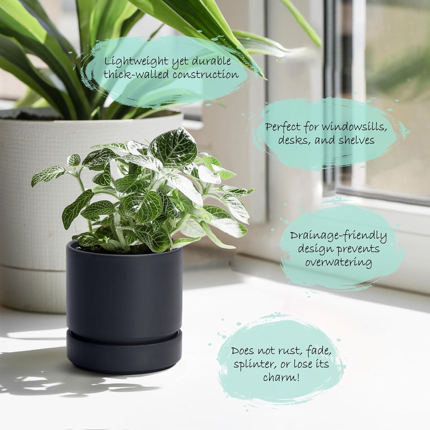 Maceta Phoenix Vine 10 cm con Plato y Drenaje Negro Mate