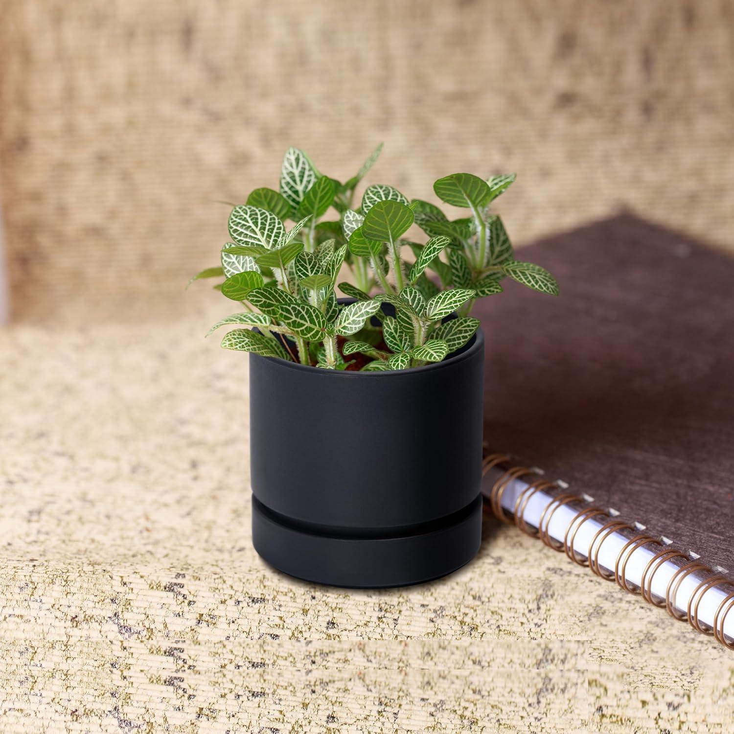 Maceta Phoenix Vine 10 cm con Plato y Drenaje Negro Mate