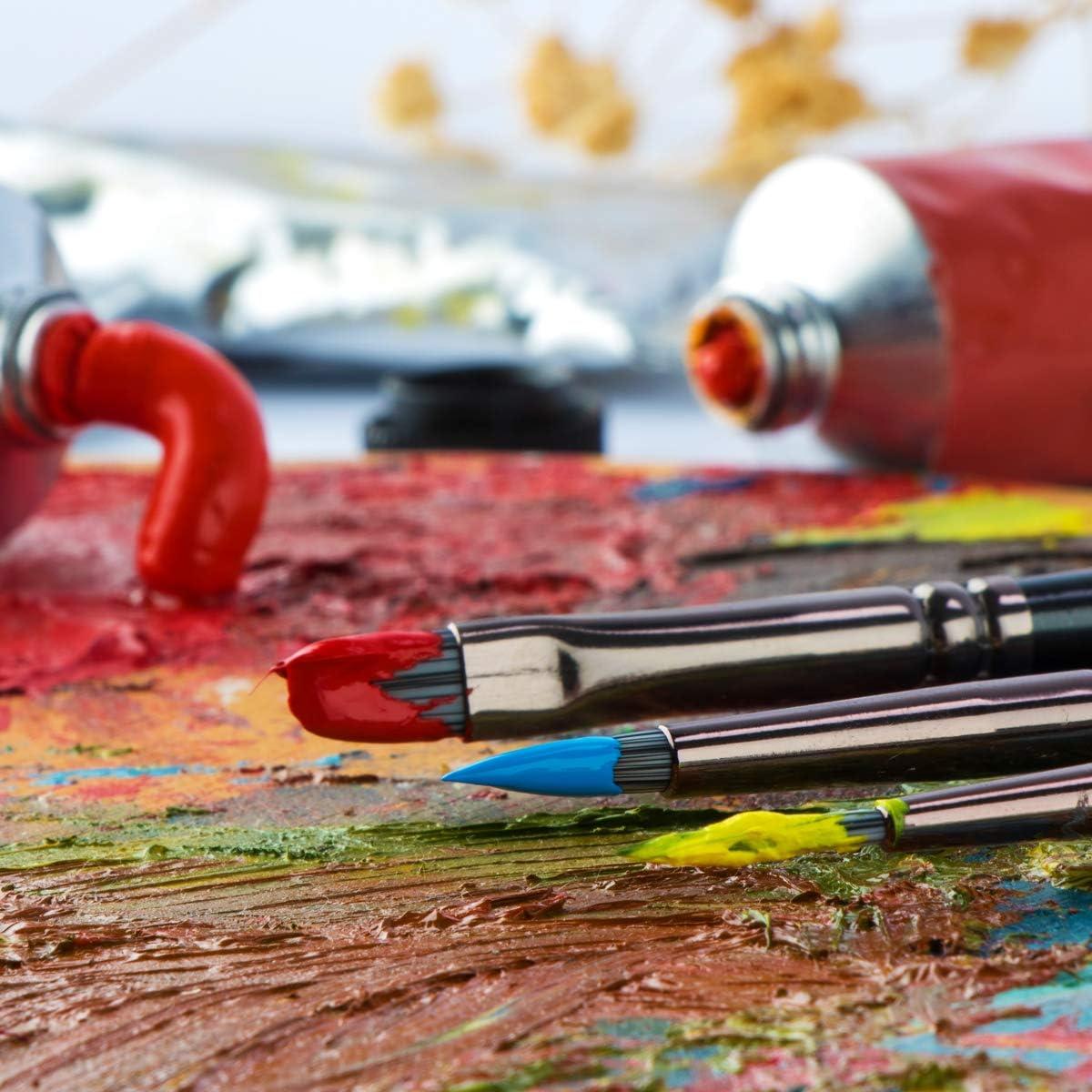 Juego de Pinceles de Pintura Transon 12 Piezas Nylon Acrílico