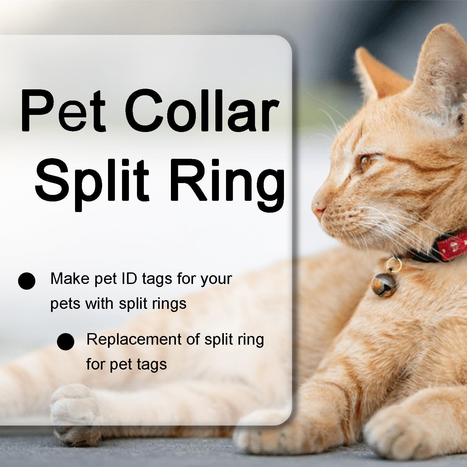 100 Anillos Abiertos Mini CooBigo 10mm Dorados para Manualidades