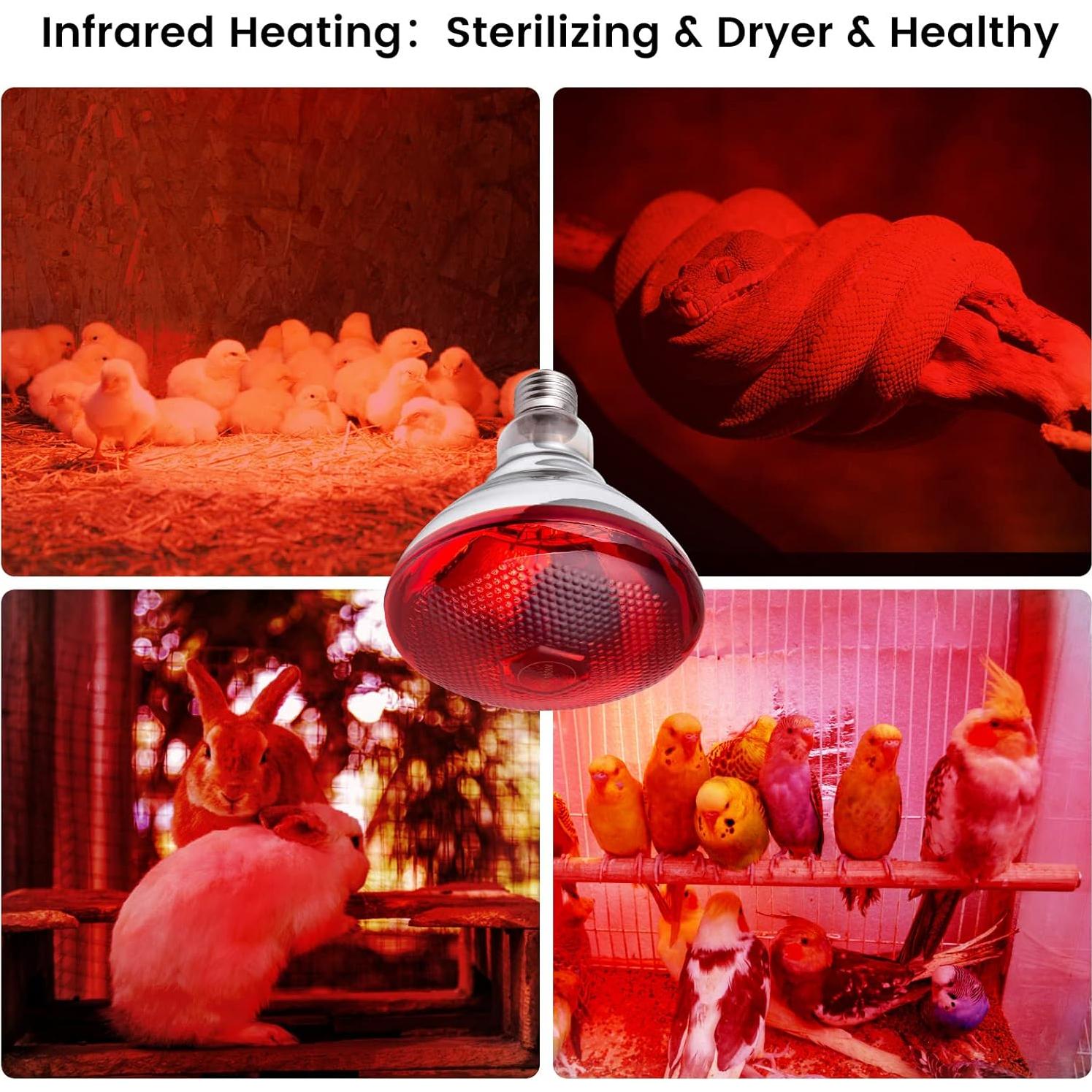 Lámpara de Calor YEAOI 150W E26 Luz Roja Infrarroja para Animales