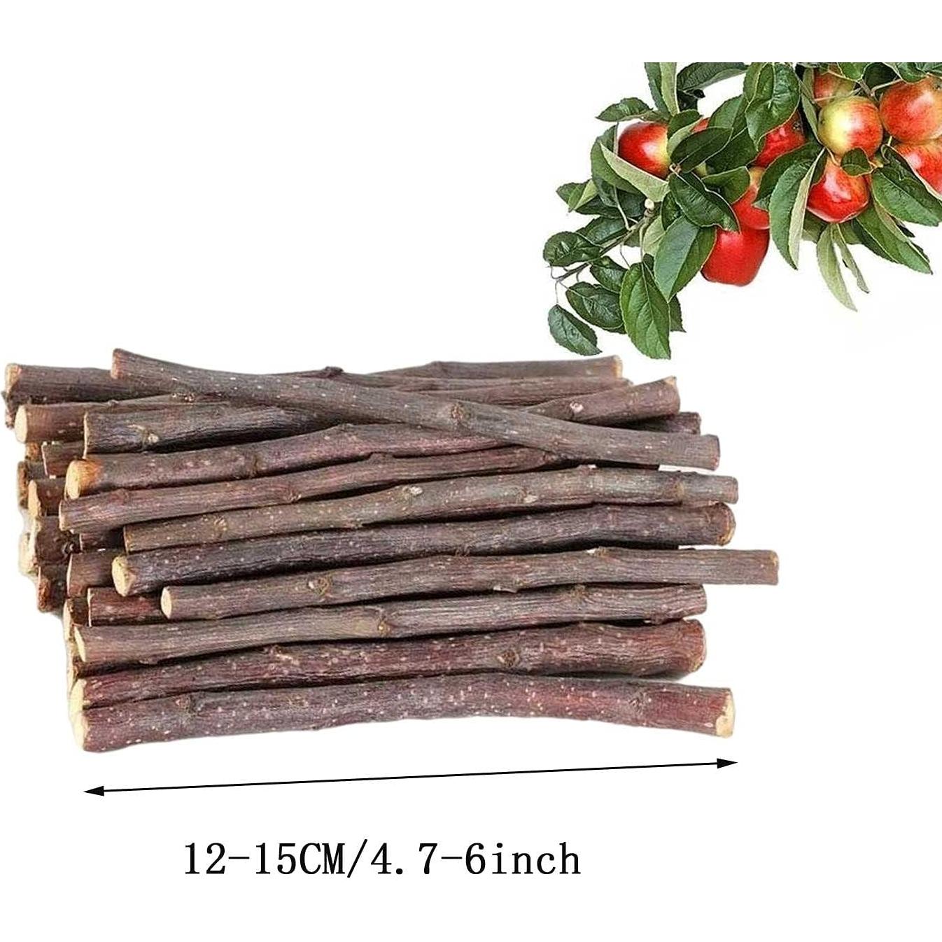 Palitos de Manzana Natural 300g ANDES para Animales Pequeños