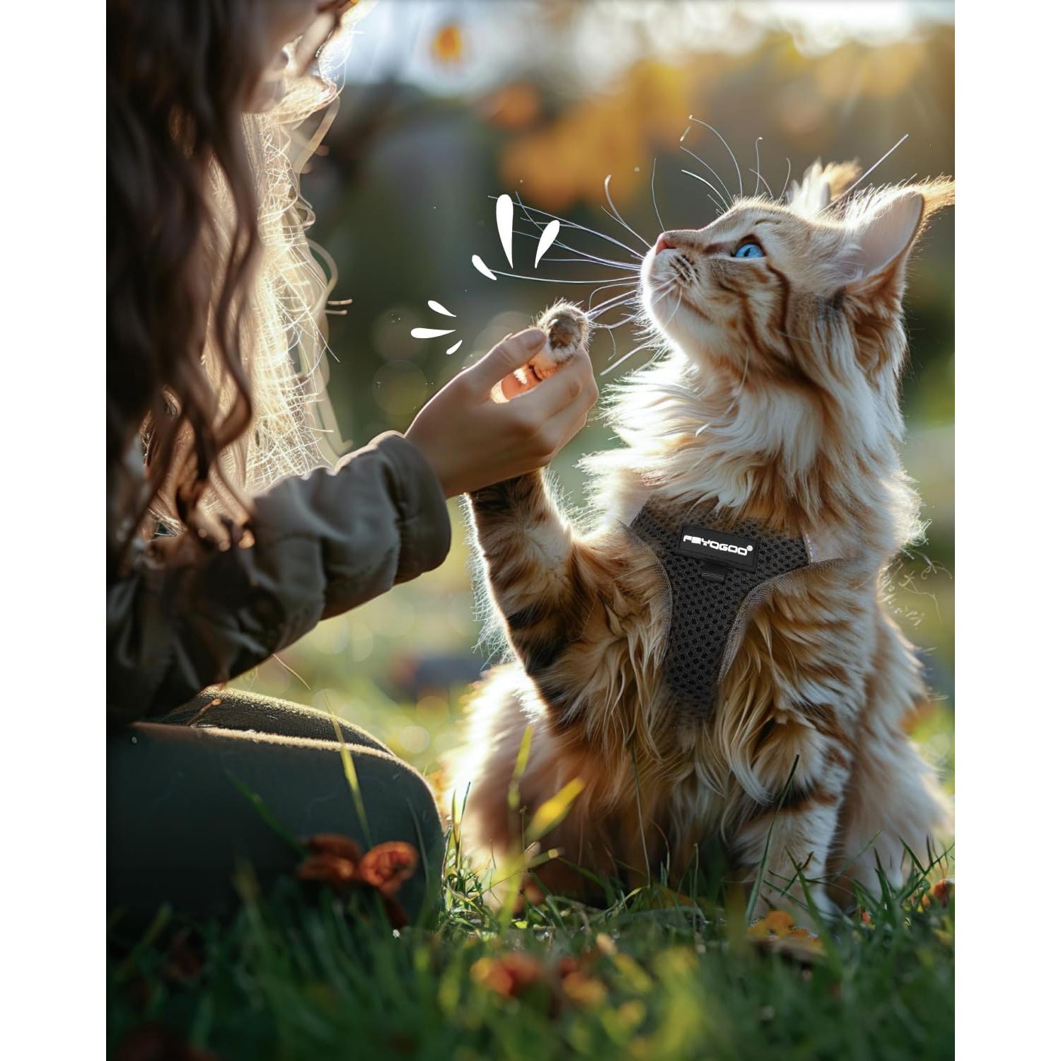 Arnés y Correa para Gato FAYOGOO Negro a Prueba de Escape